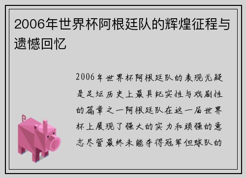 2006年世界杯阿根廷队的辉煌征程与遗憾回忆