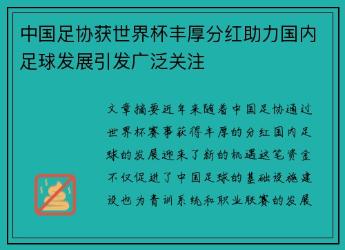 中国足协获世界杯丰厚分红助力国内足球发展引发广泛关注